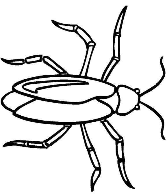 Название: Раскраска жук с длинными лапами. Категория: Насекомые. Теги: Жук.