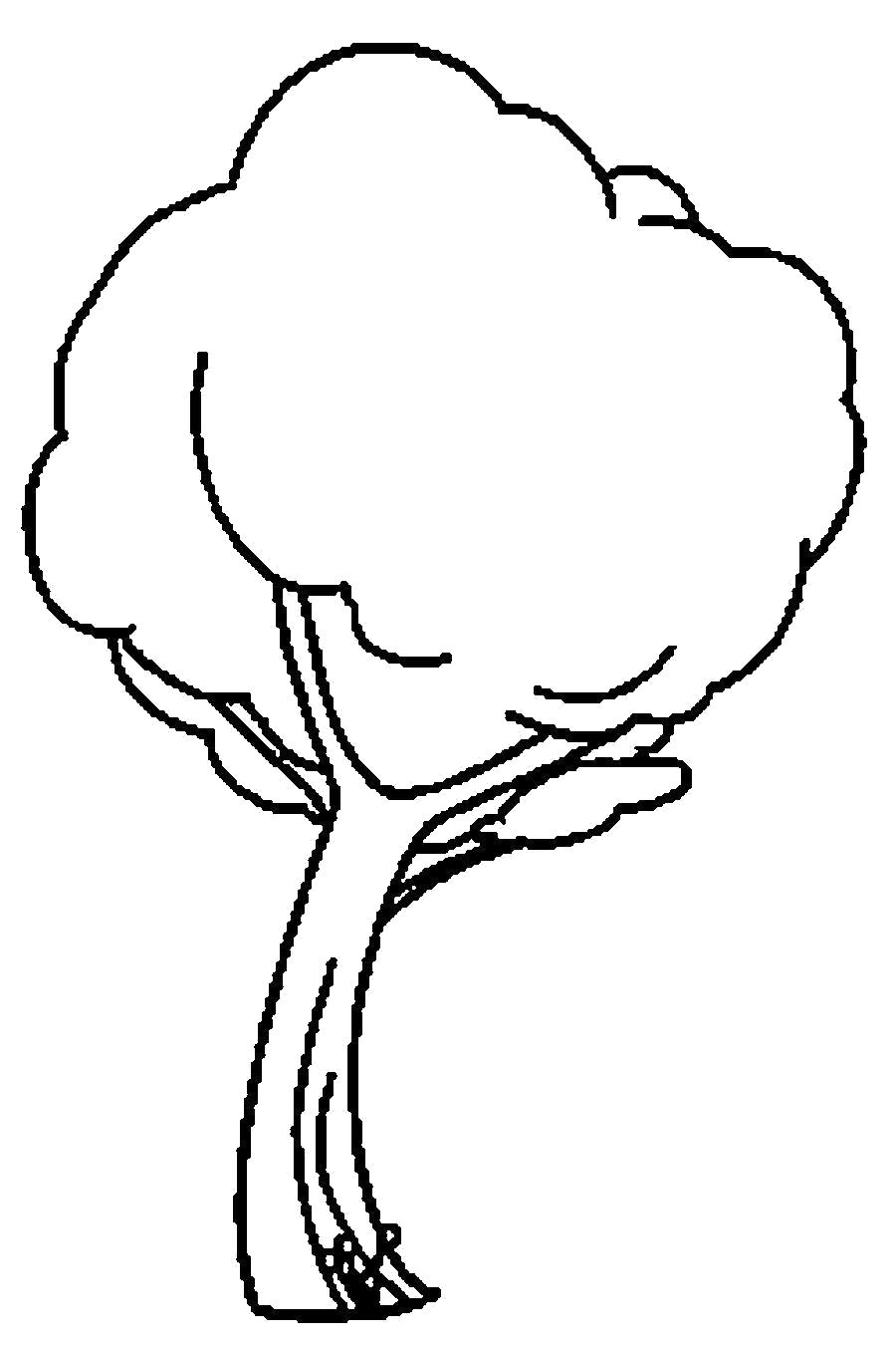 Название: Раскраска Раскраски дерево большая крона дерева . Категория: растения. Теги: дерево.