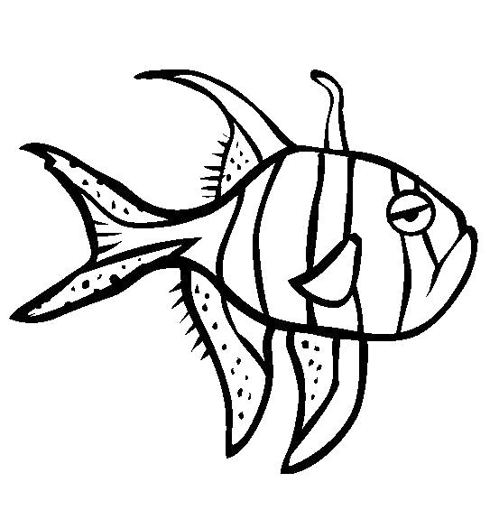 Раскраска Раскраски рыбы. Морские животные