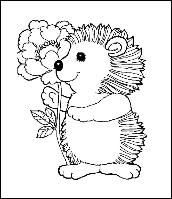 Название: Раскраска Раскраска ежик с цветочком. Категория: Дикие животные. Теги: Ежик.