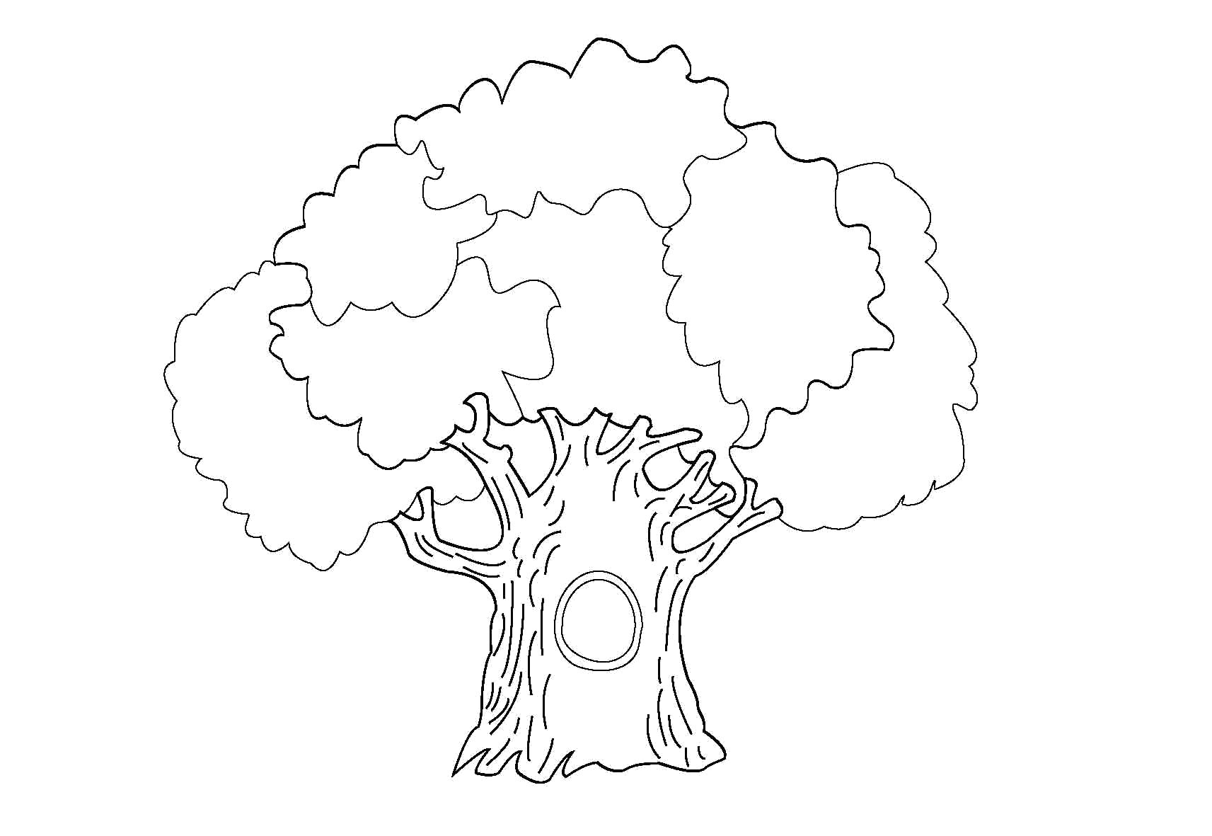 Название: Раскраска дуб с дуплом. Категория: деревья. Теги: деревья.
