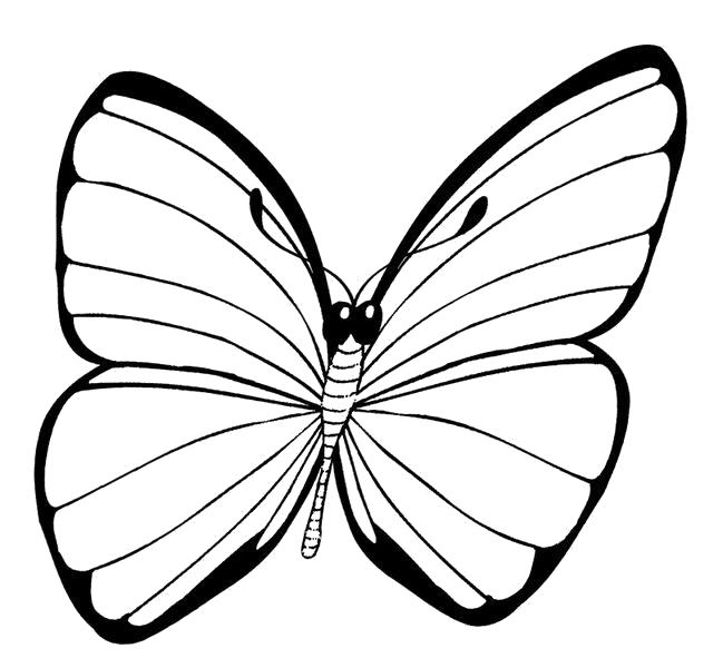 Название: Раскраска бабочка для малышей. Категория: Насекомые. Теги: Бабочки.