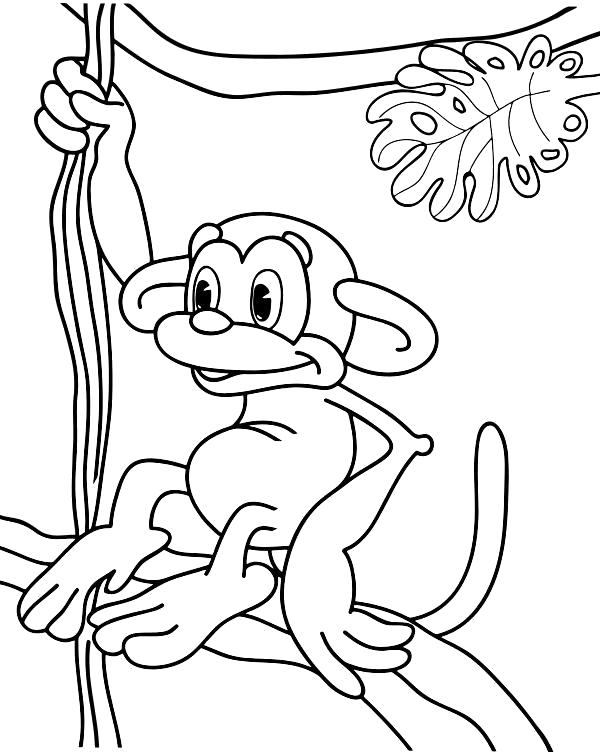Раскраска обезьяна на лиане. Скачать обезьяна.  Распечатать обезьяна