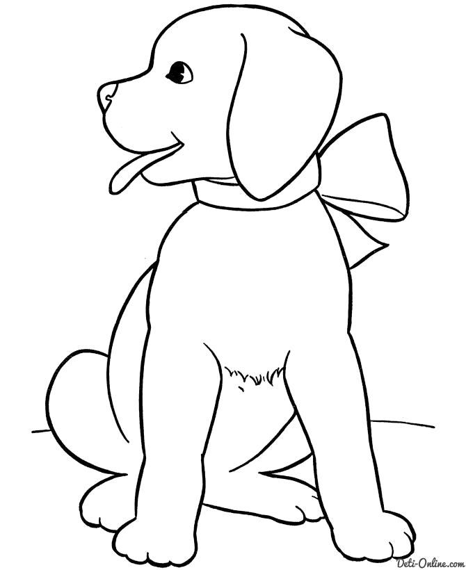 Название: Раскраска Нарядная собака. Категория: Домашние животные. Теги: Щенок, Собака.