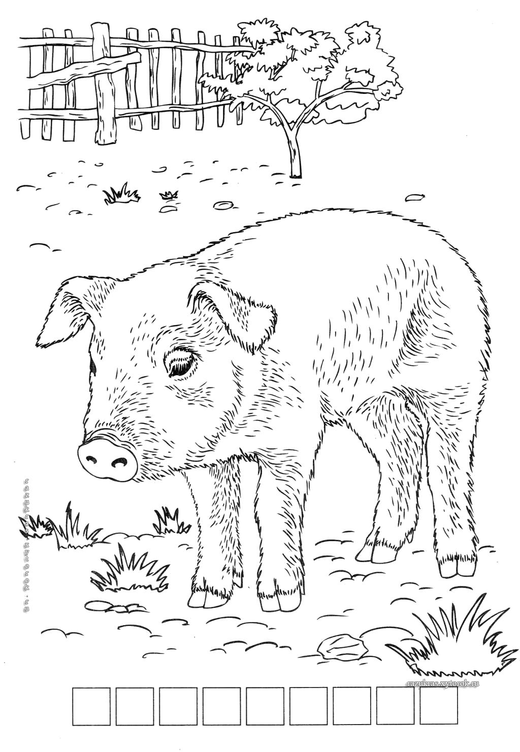 Название: Раскраска Раскраска свинья. Категория: Домашние животные. Теги: Свинья.