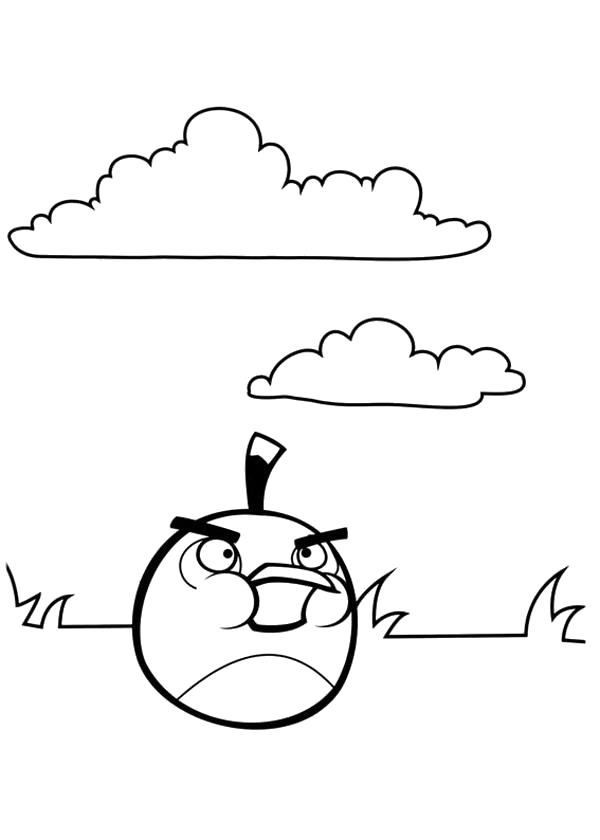 Раскраска Angry Birds. энгри бердс
