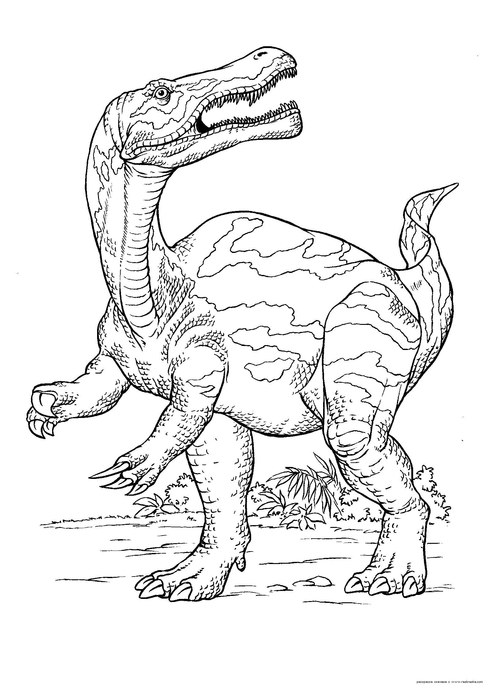 Раскраска  Динозавр.  Гигантозавр,  динозавтров бесплатно для ребенка. Скачать динозавр.  Распечатать динозавр