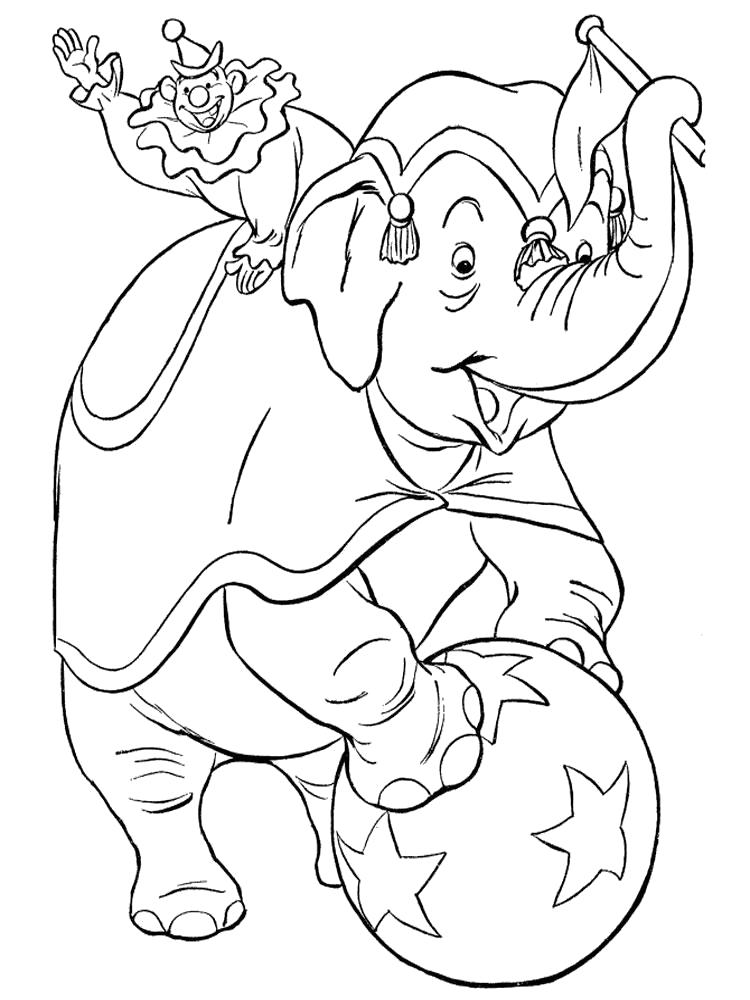 Название: Раскраска Раскраска слон в цирке. Категория: слон. Теги: слон.