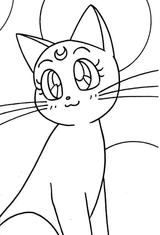 Раскраски для мальчиков Аниме кошка