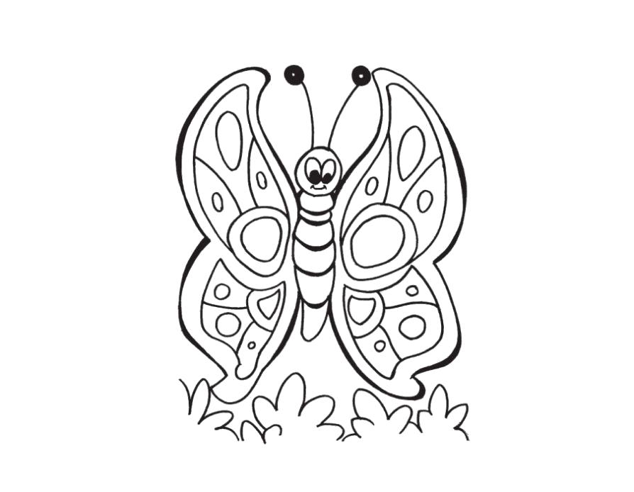 Название: Раскраска  бабочка красавица. Категория: бабочка. Теги: бабочка.