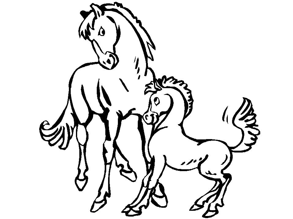Раскраска Лошадь и маленький жеребенок. Домашние животные