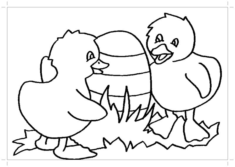 Раскраска Раскраска цыплята. Домашние животные