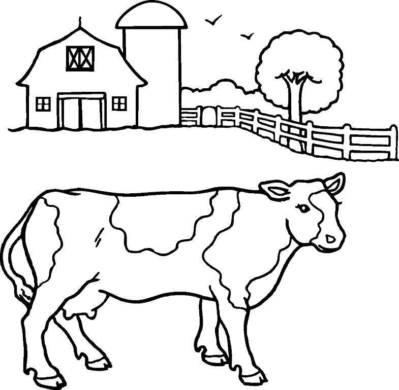 Раскраска Корова на ферме. 