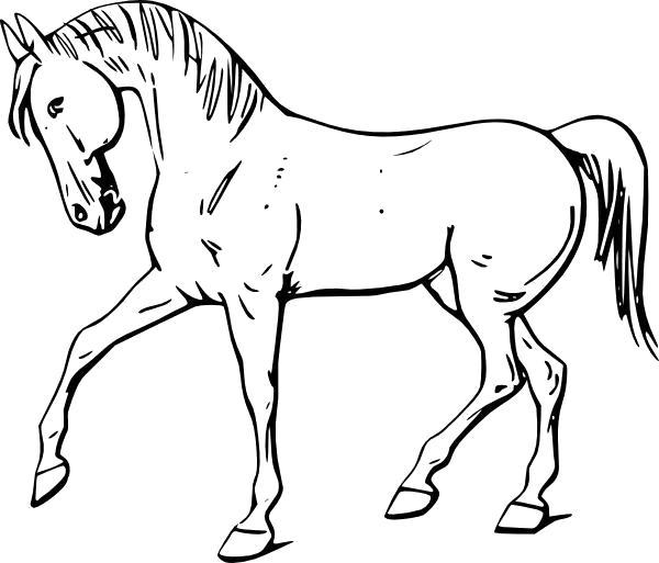Раскраска Конь с фермы. 