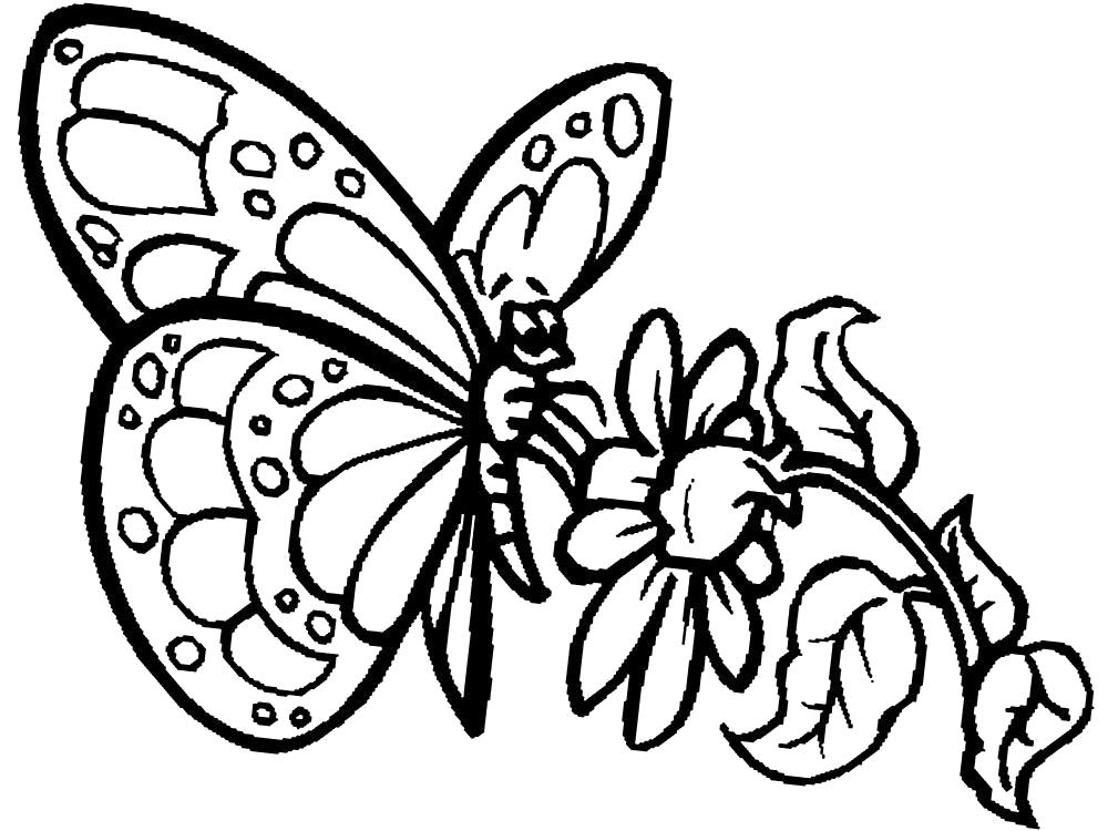 Название: Раскраска Раскраски для детей бабочки. Категория: Насекомые. Теги: Бабочки.