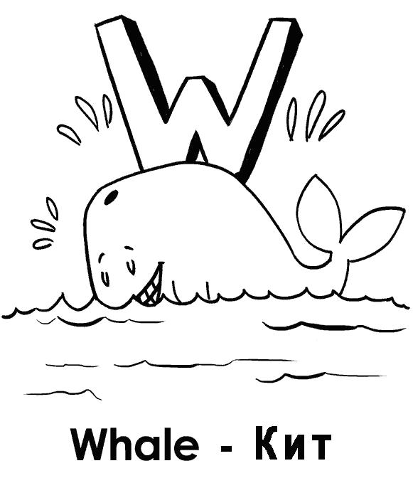 Раскраска учим английский Whale кит. Скачать Кит.  Распечатать Кит