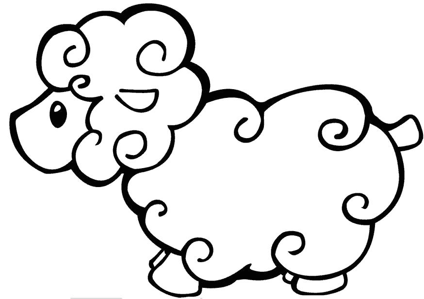 Раскраска Пушистая овечка. Домашние животные