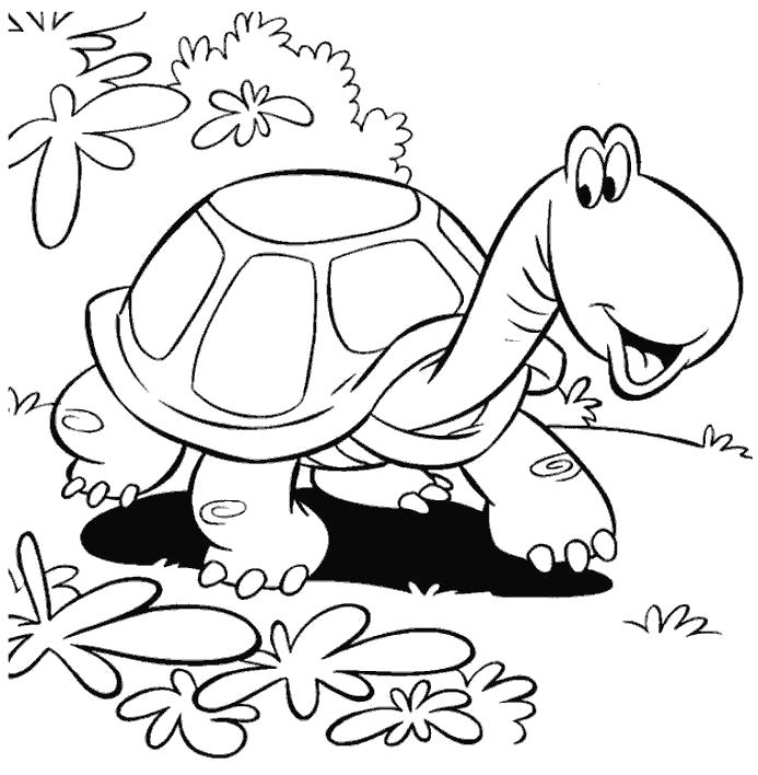 Раскраска черепаха разглядывает траву. Скачать Черепаха.  Распечатать Дикие животные