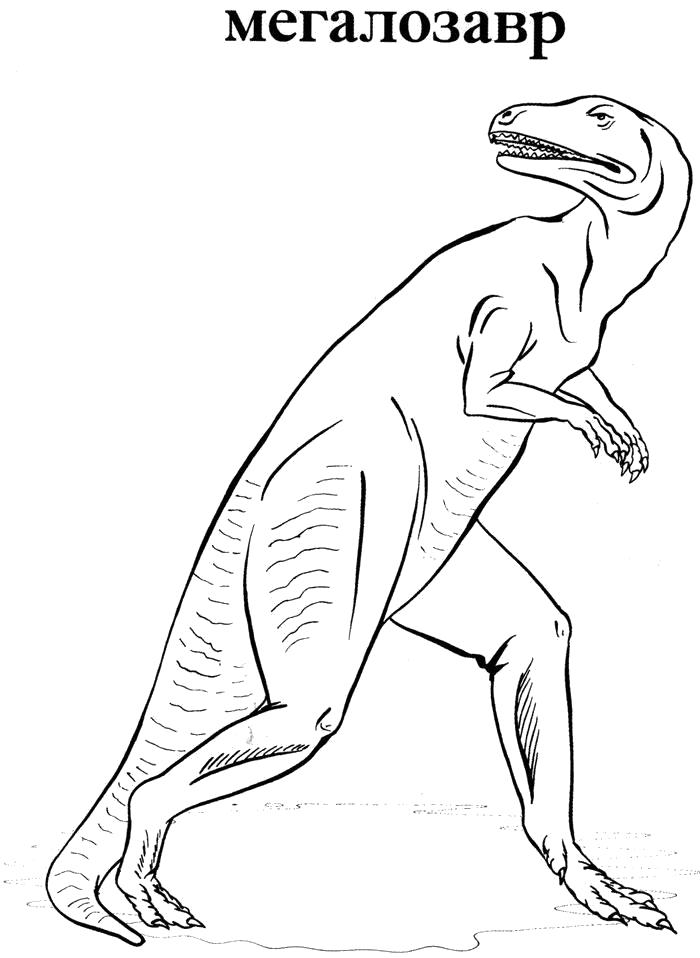 Раскраска Раскраски Динозавры, мегалозавр. динозавр