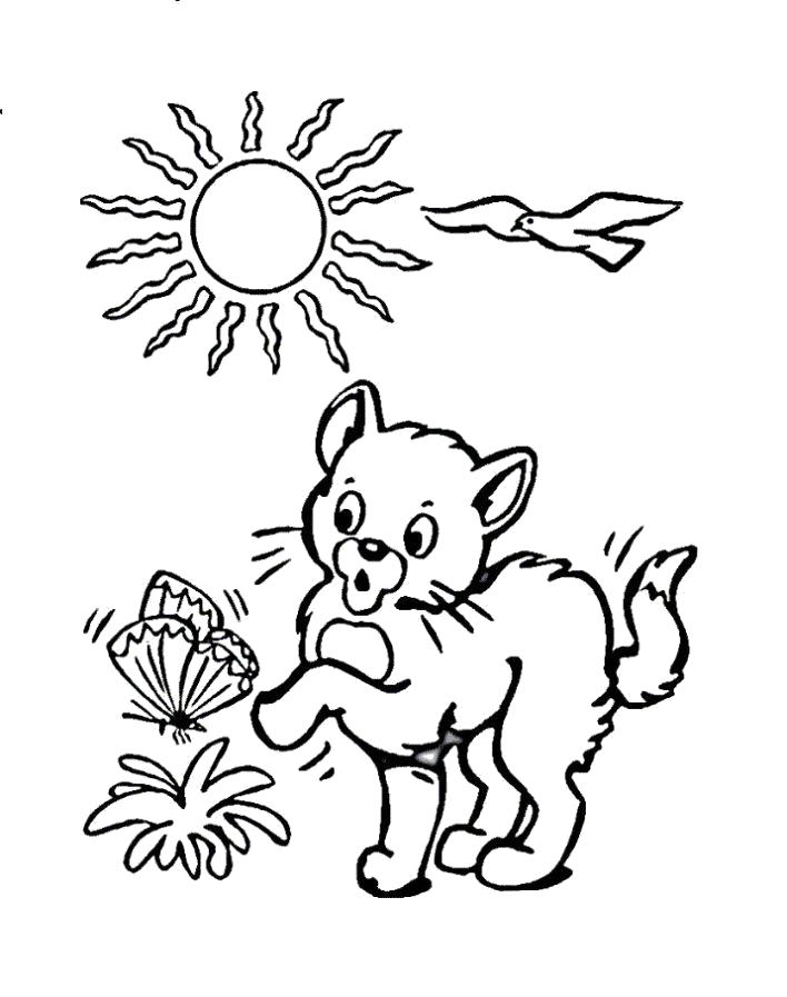 Раскраска Разукрашка кот. Домашние животные