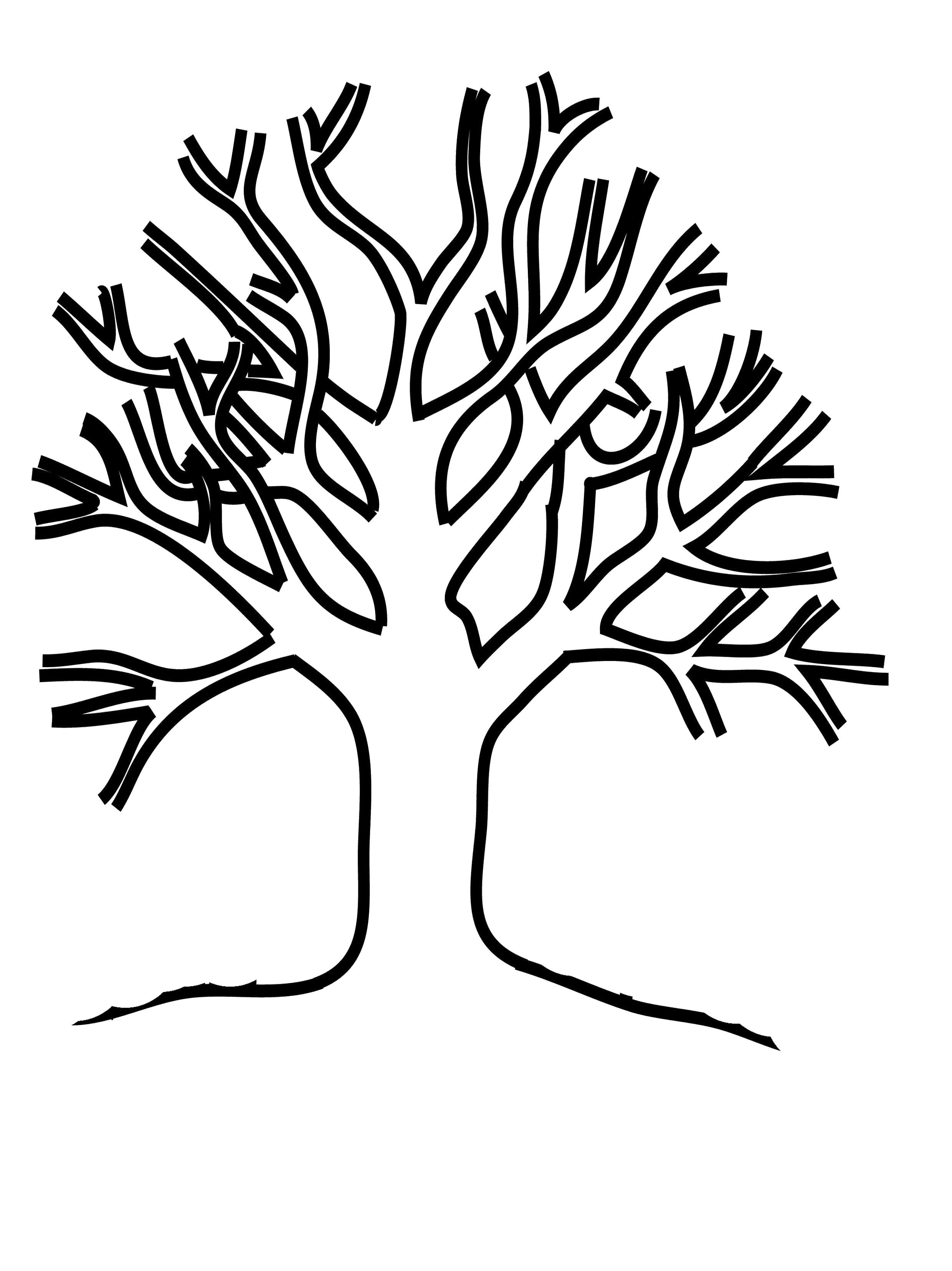 Раскраска Раскраска дерево без листьев бесплатно . Контуры дервеьев