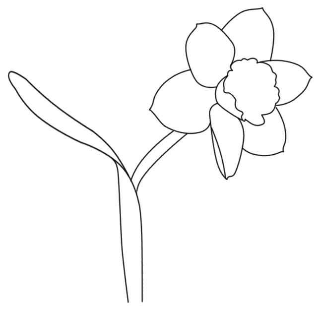 Название: Раскраска цветок. Категория: Шаблон. Теги: Шаблон.