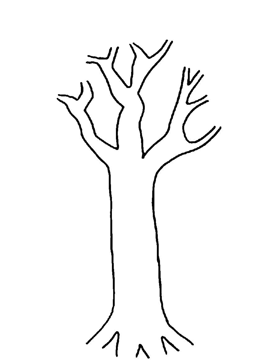 Название: Раскраска Раскраски Деревья без листьев . Категория: растения. Теги: дерево.
