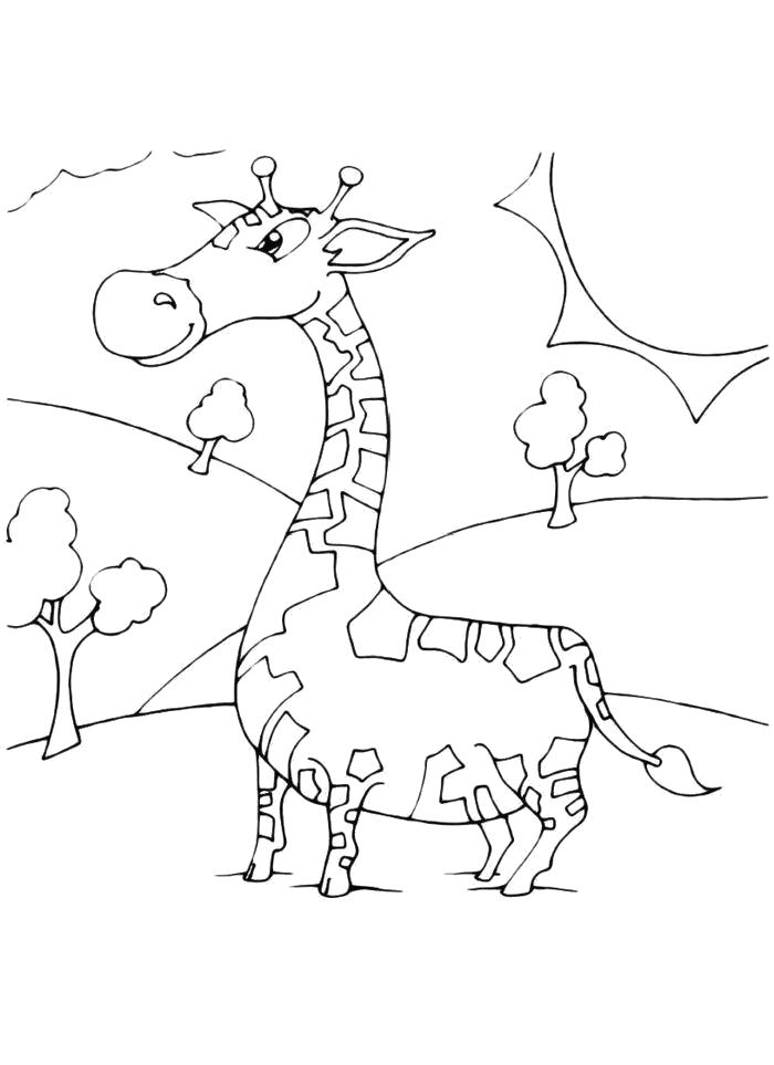 Раскраска Раскраска Жираф с короткими ногами. жираф