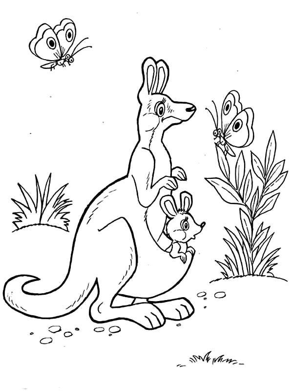 Раскраска Кенгуру мама и детёныш. Скачать кенгуру.  Распечатать кенгуру