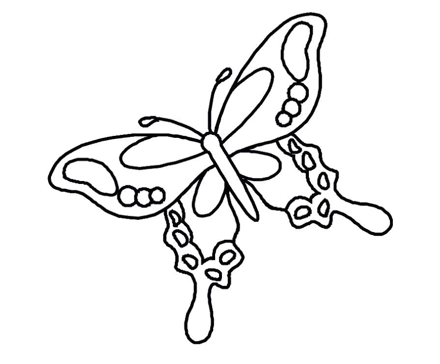 Название: Раскраска Раскраска бабочка. Категория: бабочка. Теги: бабочка.