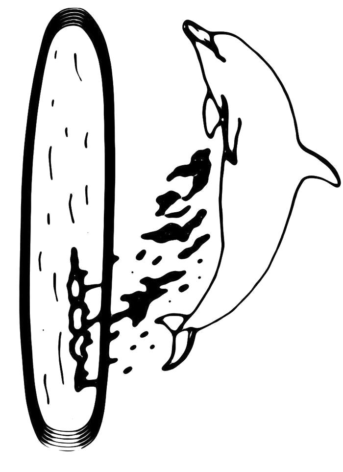 Раскраска Раскраска Дельфин в прыжке. Морские животные