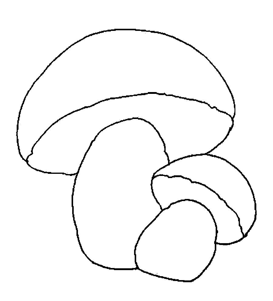 Раскраска  шаблон гриба два гриба шаблон, заготовка из бумаги для детей. Скачать гриб.  Распечатать растения