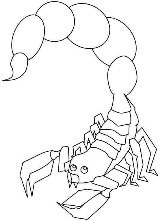 Название: Раскраска Скорпион пустынный. Категория: скорпион. Теги: скорпион.