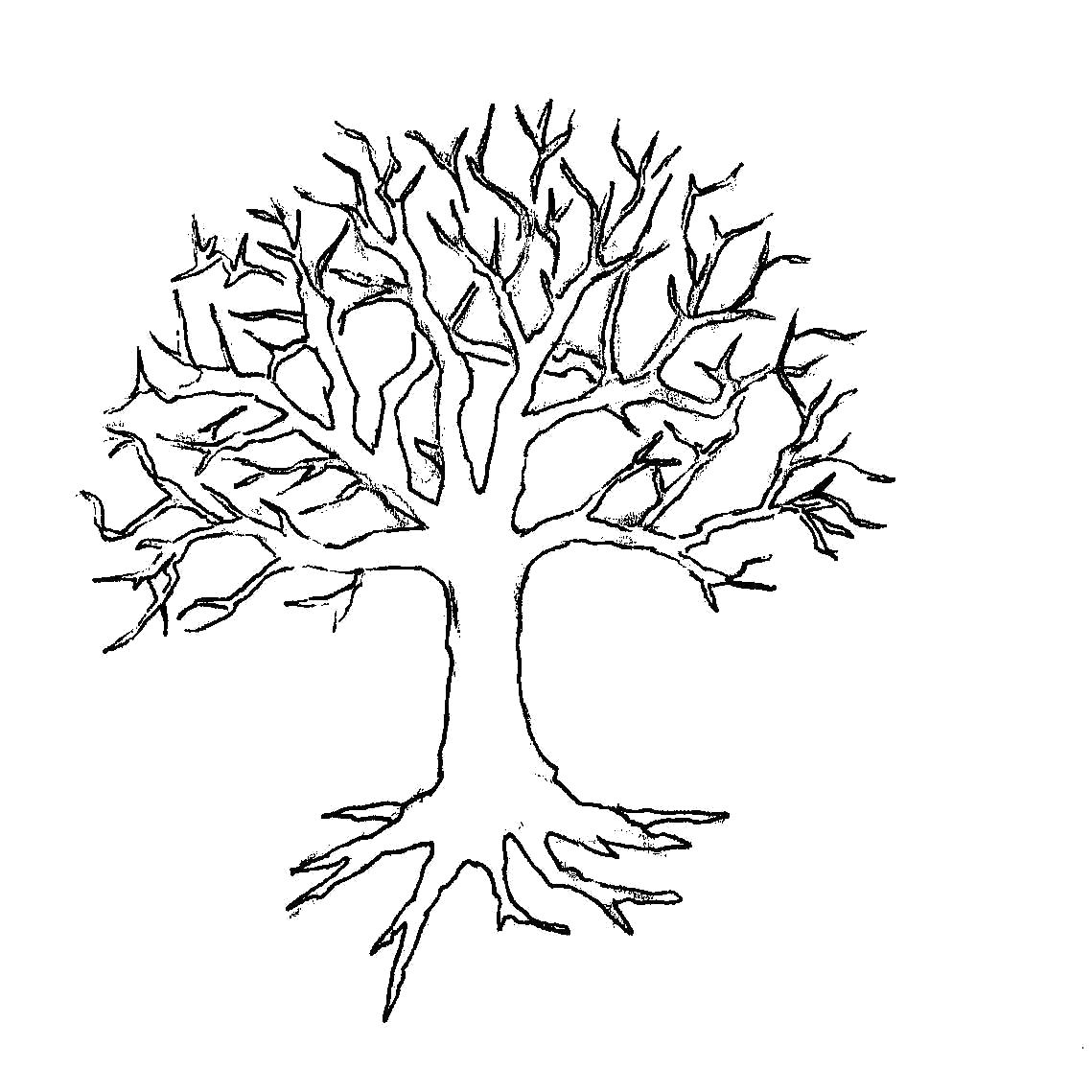 Раскраска Раскраски деревья аппликация дерево без листьев. растения