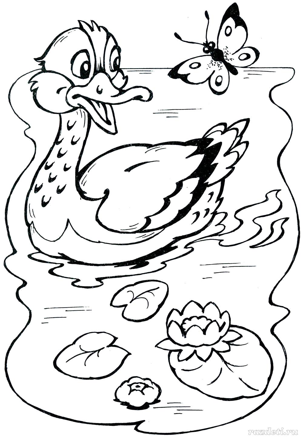 Раскраска Раскраски для детей Лето утка в пруду и кувшинка. Лето