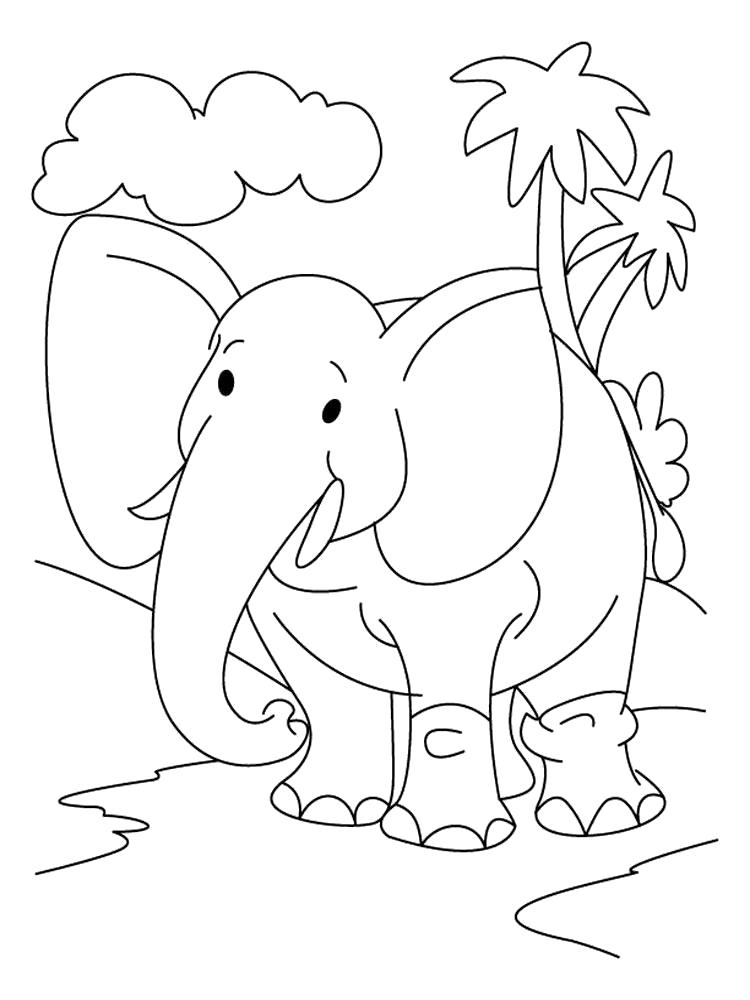 Раскраска  слон. Скачать слон.  Распечатать слон