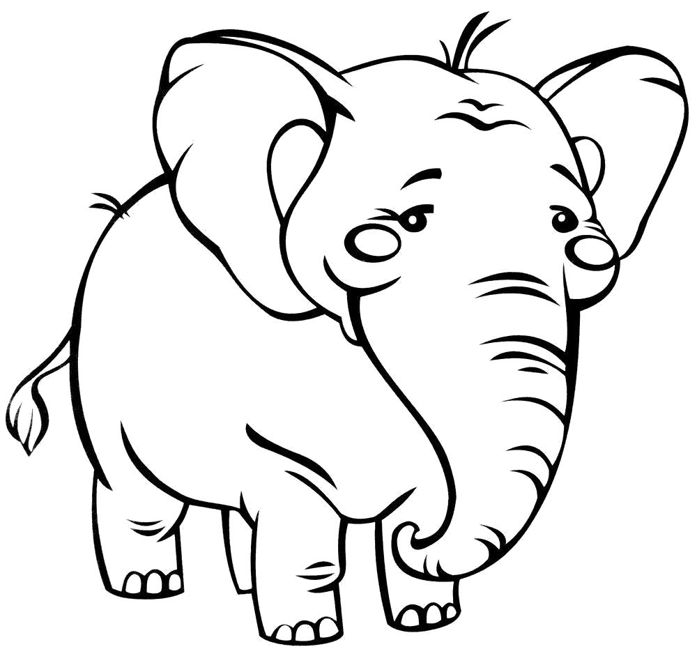 Название: Раскраска Раскраска слоненок идет. Категория: слон. Теги: слон.