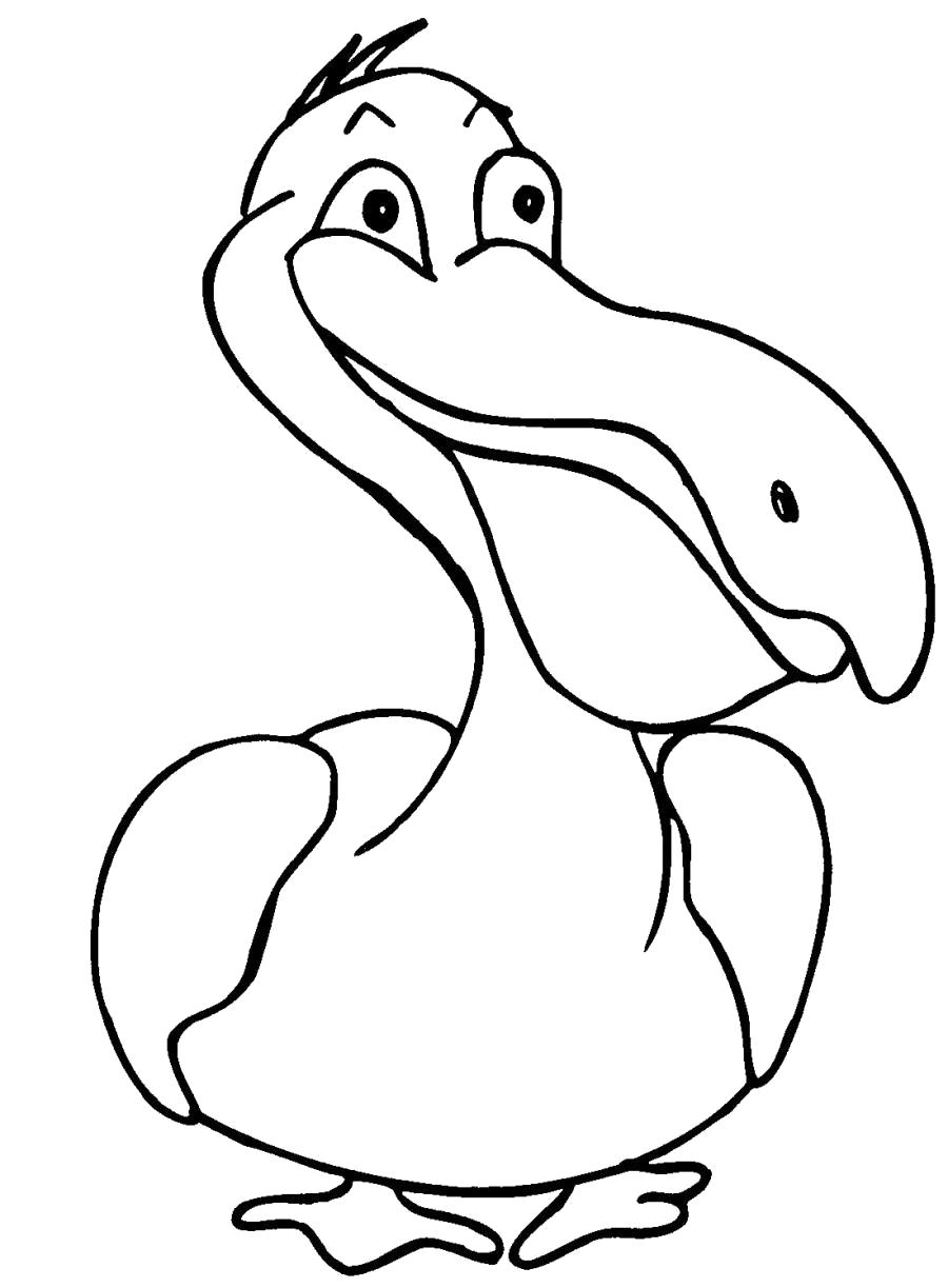 Название: Раскраска Смешной пеликан . Категория: Пеликан. Теги: Пеликан.
