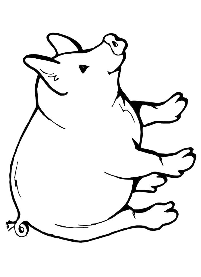 Название: Раскраска Раскраска Добрая свинка. Категория: Свинья. Теги: Свинья.
