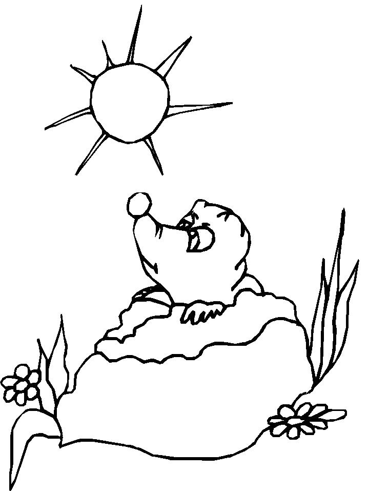Название: Раскраска Раскраска Ежик под солнцем. Категория: Ежик. Теги: ежик.