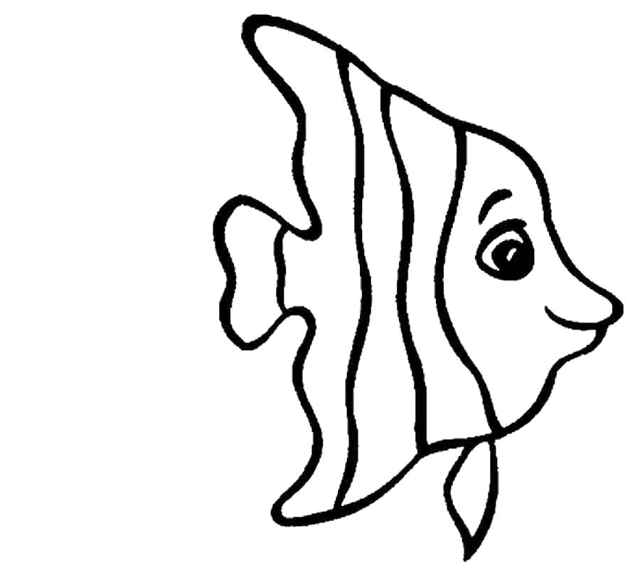 Раскраска золотая рыбка - картинки для . Морская рыба полосатая.. Скачать рыба.  Распечатать Рыбы