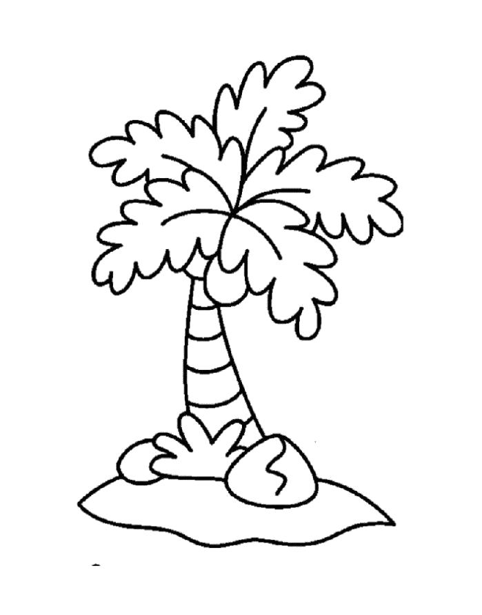 Раскраска  пальма детям. Скачать пальма.  Распечатать пальма