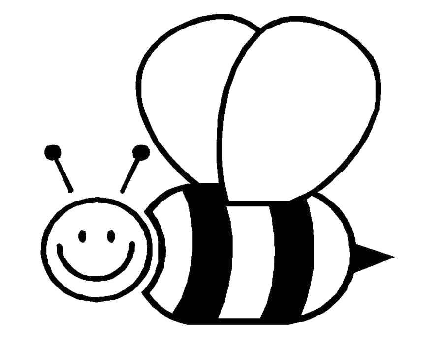 Раскраска Счастливая пчелка. Скачать .  Распечатать 