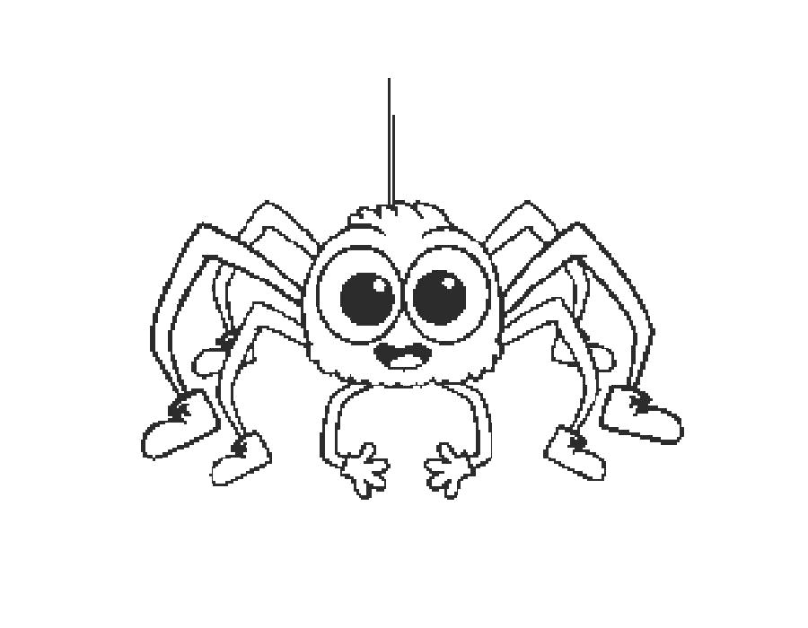 Раскраска Раскраска паук на паутине. Паук