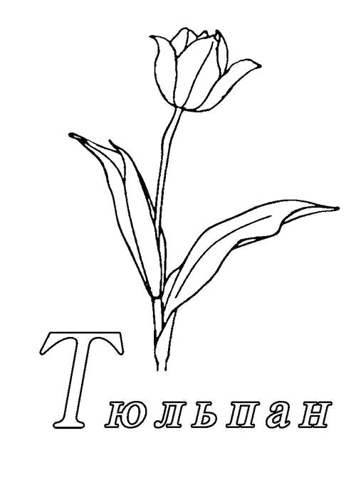 Раскраска Раскраска Тюльпан с подписью. Цветы