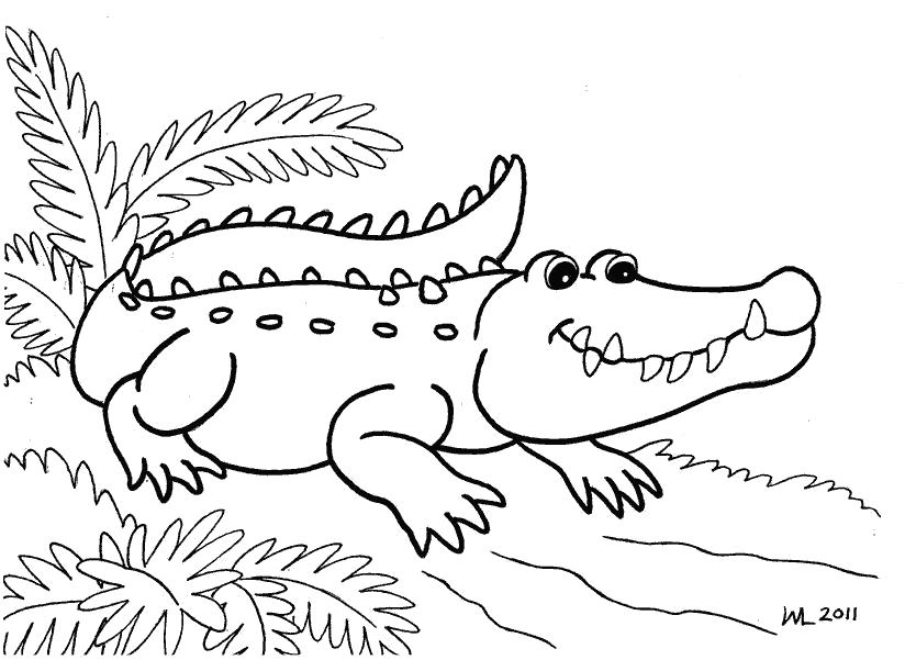 Раскраска Красивый крокодил