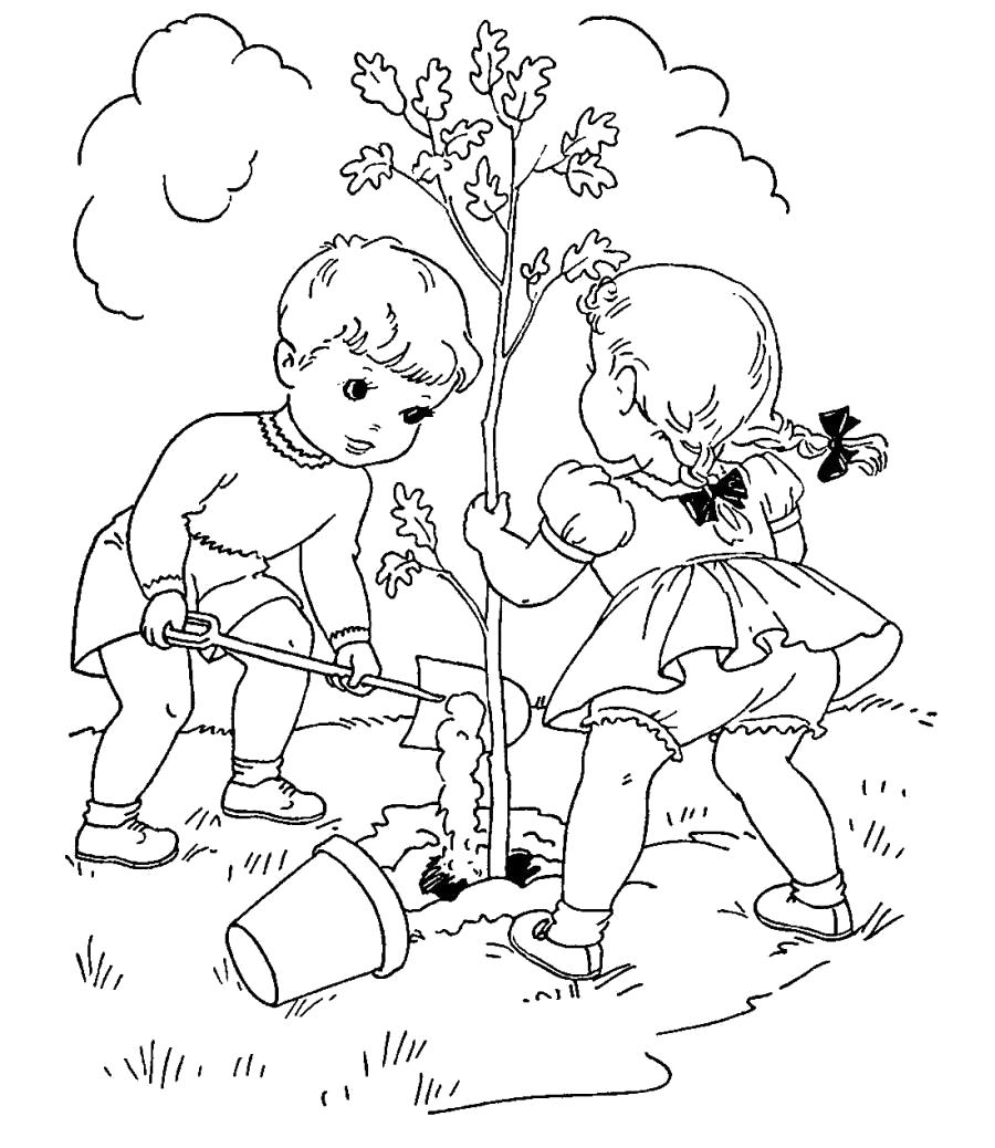 Раскраска Дети садят дерево. Скачать дерево.  Распечатать дерево