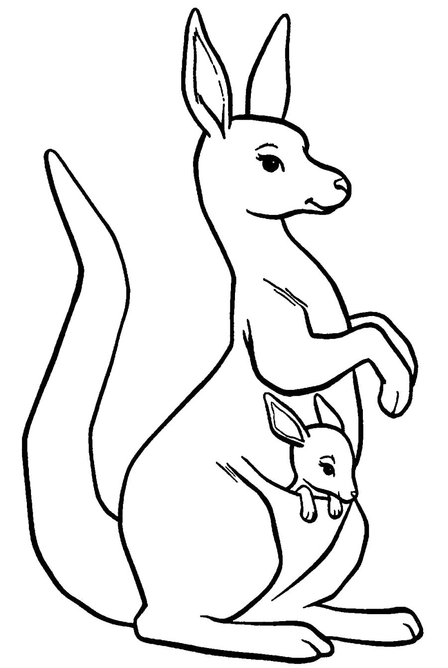 Раскраска Кенгуру и кенгуренок. Скачать кенгуру.  Распечатать кенгуру