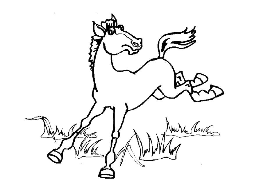 Раскраска лошадь скачет. Домашние животные