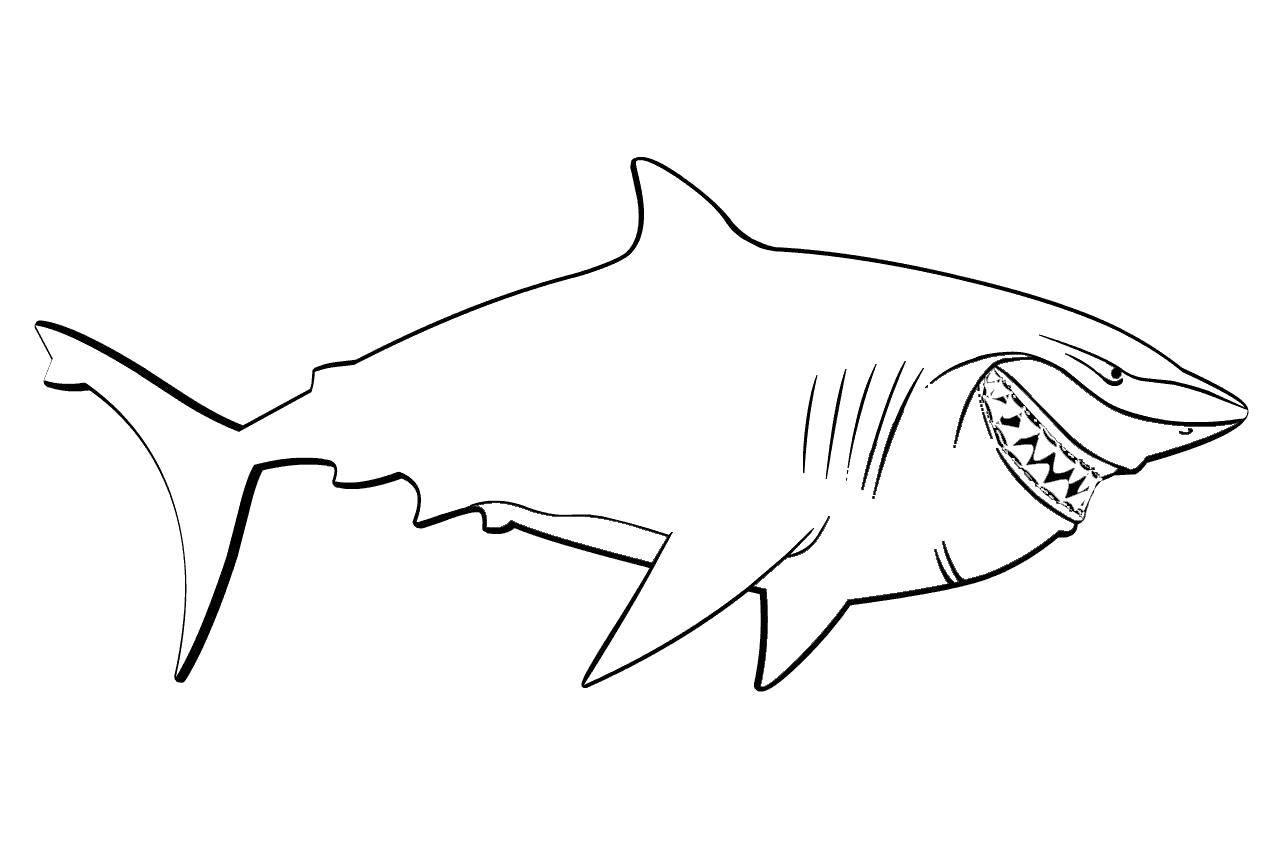 Раскраска  Акула Брюс. Морские животные